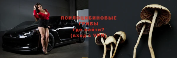 гидра Аркадак