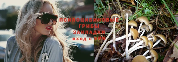 прущие крисы Армянск